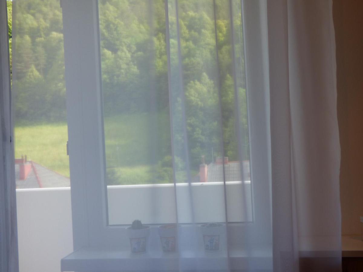 Apartman Dolinky Vyhne Eksteriør bilde